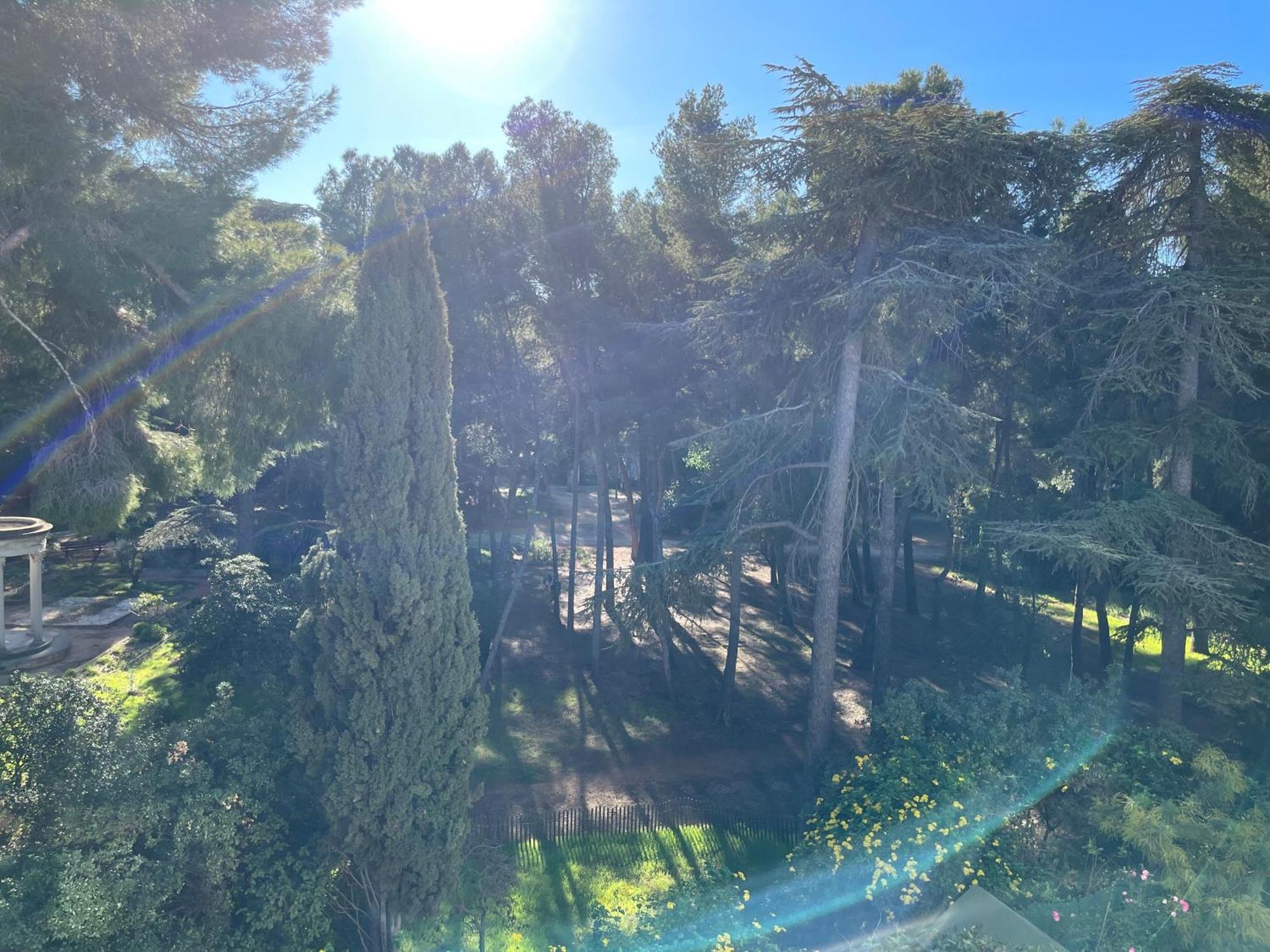 Bandol - Plage De Renecros Exteriér fotografie